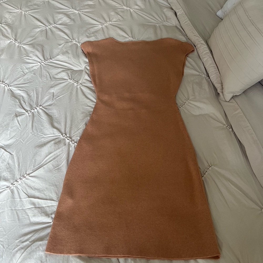 Aritzia Blush knit dress.